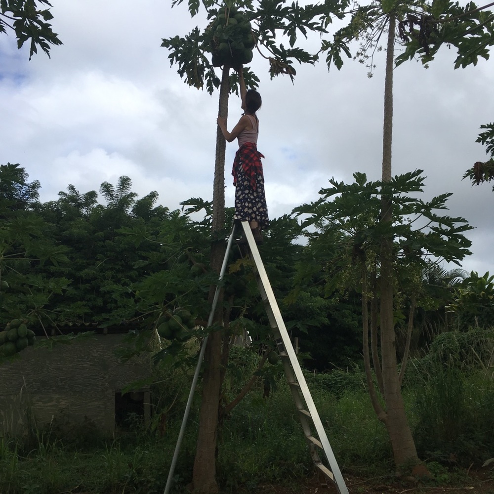 Meet your Posher, Rose